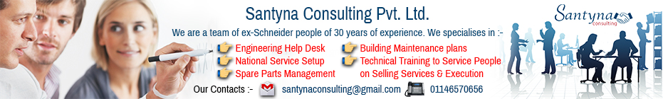 Santyna Consulting Private Limited